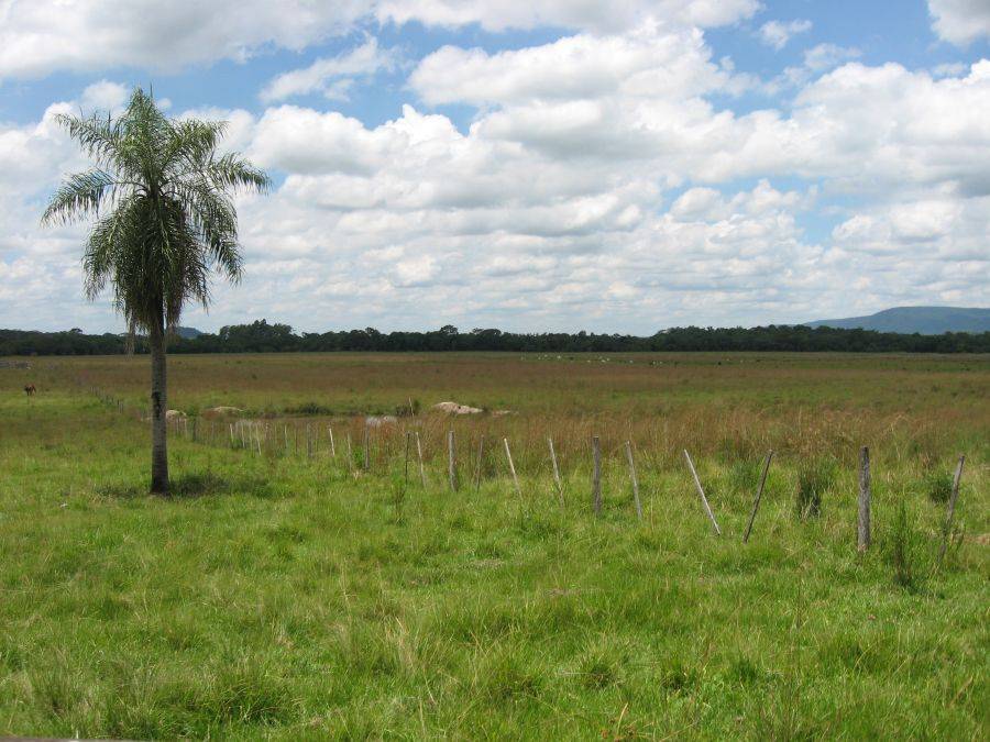 Estancia à 104 hectares with the river in La Colmena - Paraguay